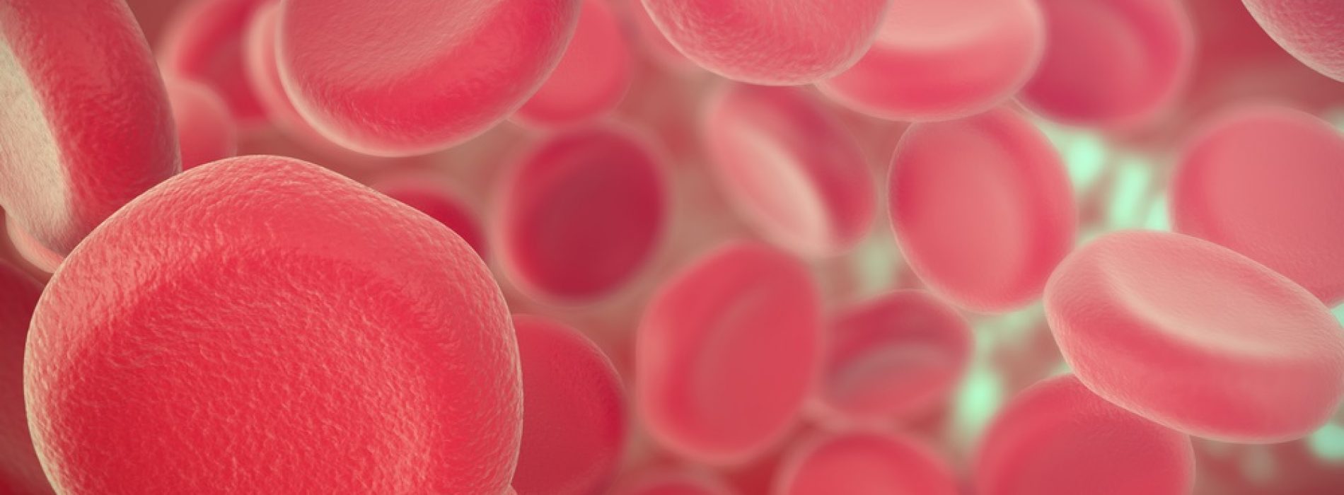 Anemia – co to, jakie objawy? Co jeść, jak leczyć anemię?