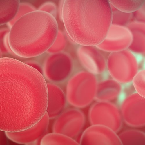 Anemia – co to, jakie objawy? Co jeść, jak leczyć anemię?