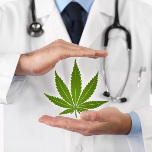 Medyczna marihuana (lecznicza) – Kompendium wiedzy