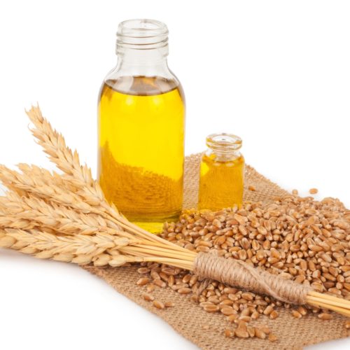 Olej z kiełków pszenicy – Jakie ma właściwości i zastosowanie?