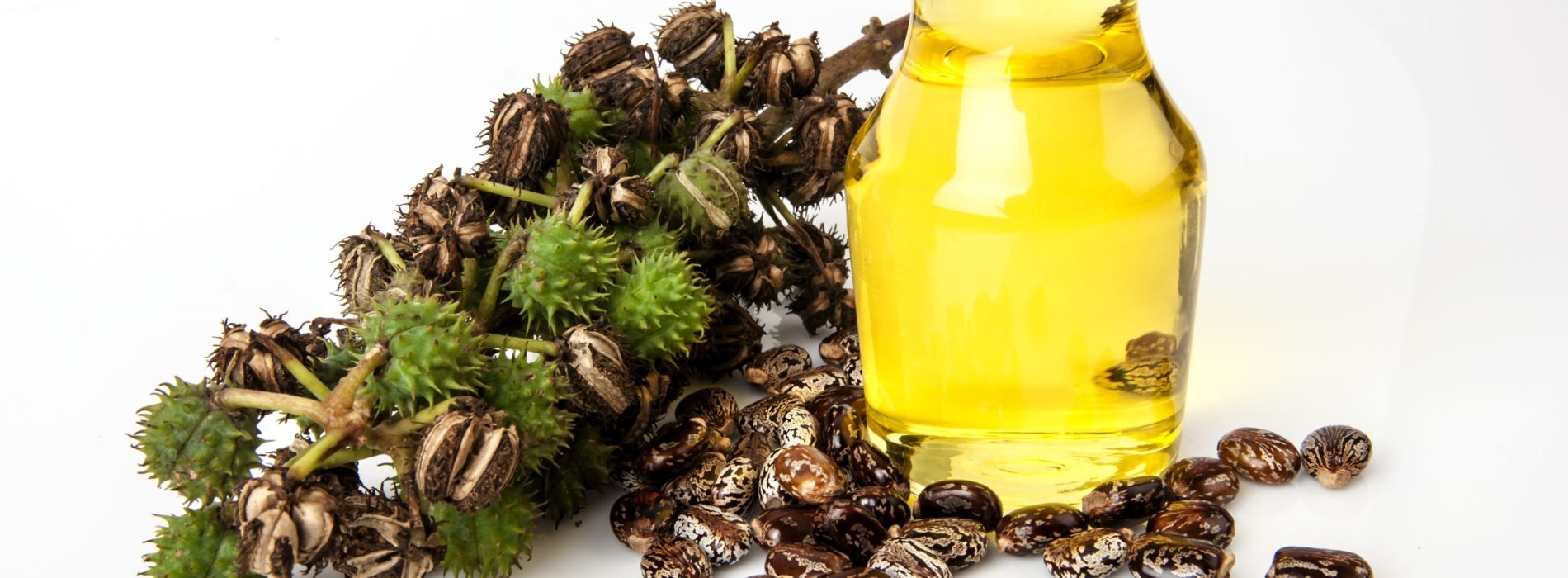 Olej rycynowy – Właściwości oraz zastosowanie oleju rycynowego