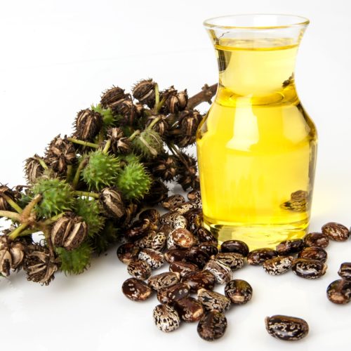 Olej rycynowy – Właściwości oraz zastosowanie oleju rycynowego