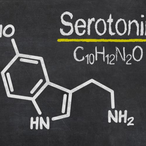CBD i serotonina. Czy CBD może zastąpić serotoninę?