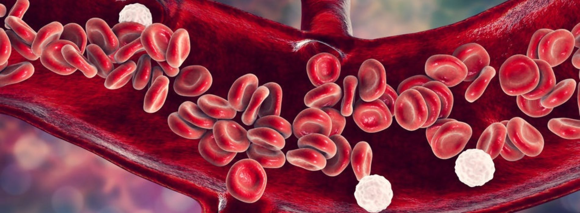 Leukocyty w moczu – Co to, jakie badania i jak leczyć?