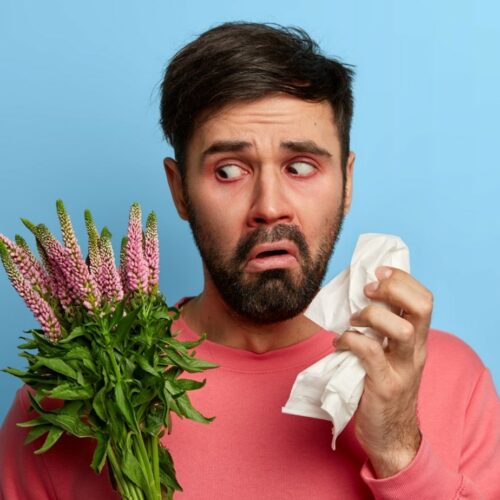 Jak powstaje alergia?